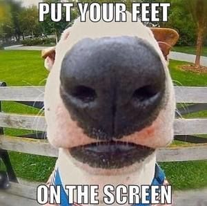 Meet your Posher, Kurt